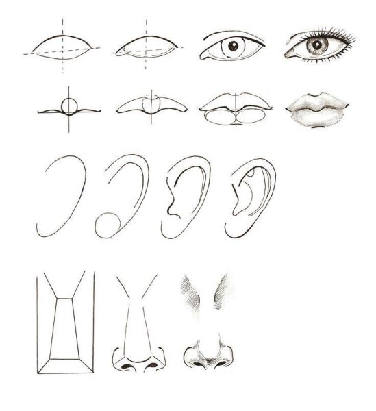 Поэтапное рисование частей лица