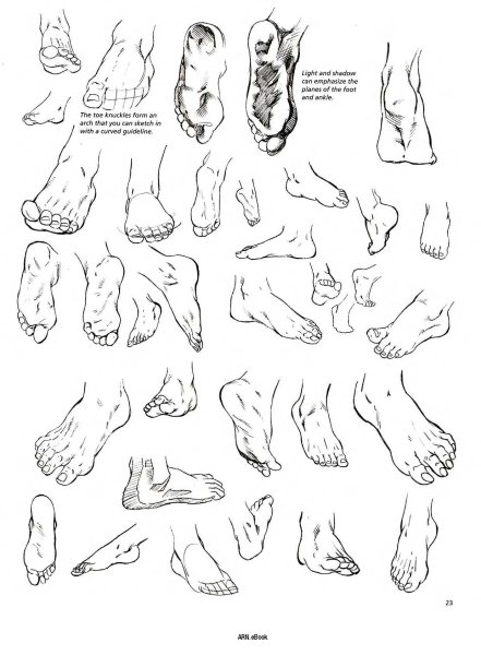 Части тела рисунок карандашом