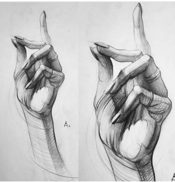 Зарисовки частей тела
