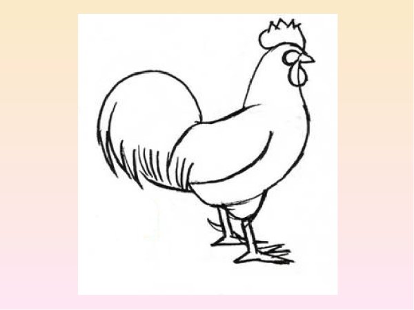 Петушок рисунок карандашом