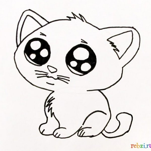 Котик рисунок