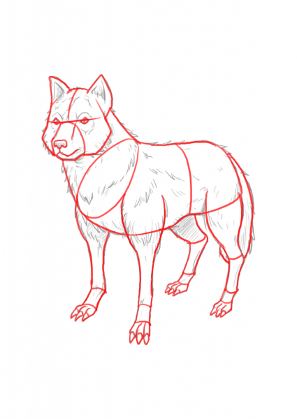 Картинки волка для срисовки