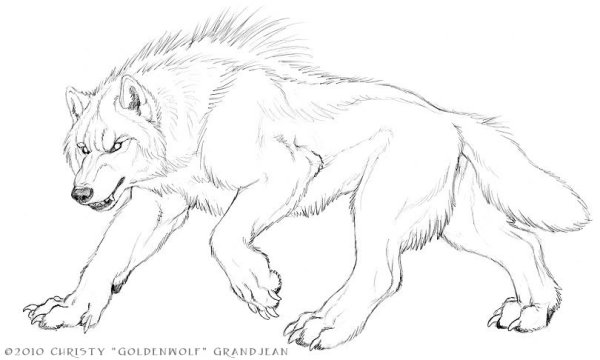 Волк вид сбоку рисунок