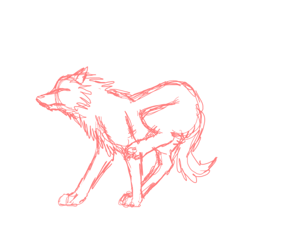 Лежачий волк карандашом