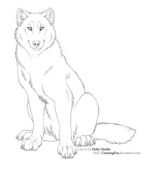 Рисунок волка карандашом для срисовки легкие