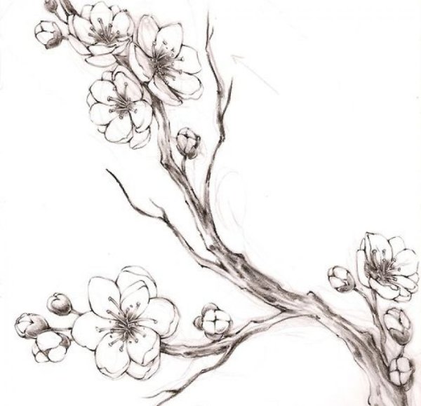 Сакура тату эскизы