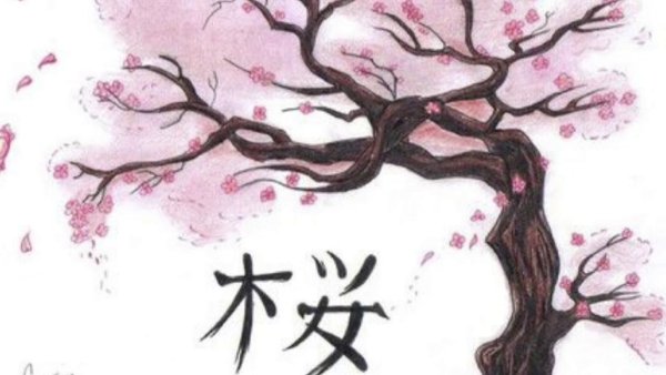 Дерево Сакуры эскиз