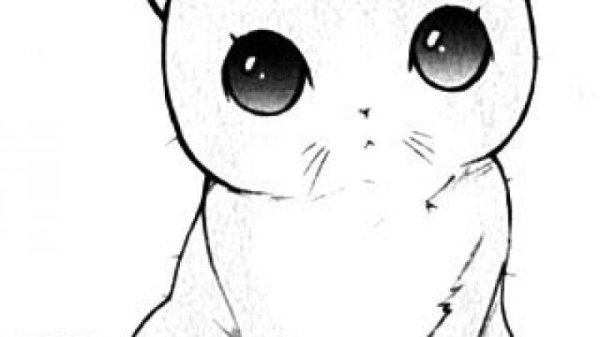 Рисунки для срисовки котики легкие