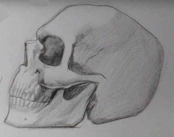 Череп карандашом