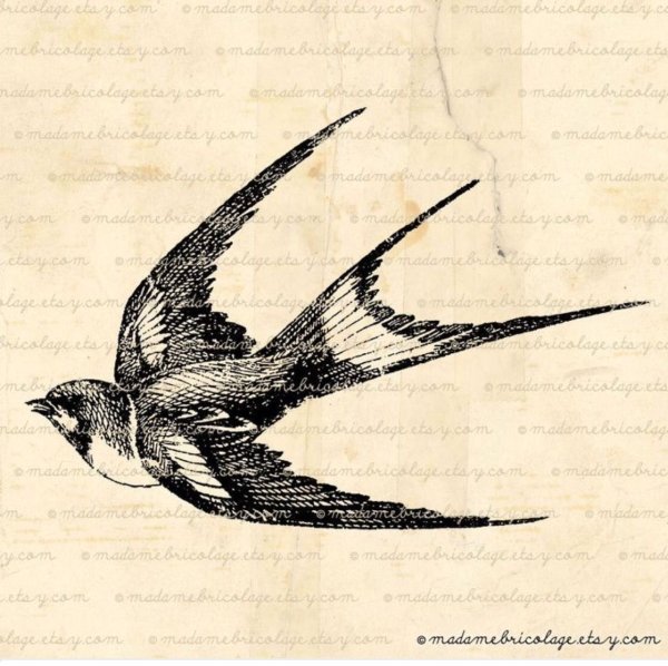 Рисунок ласточки в полете