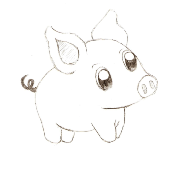Рисунок свиньи для срисовки