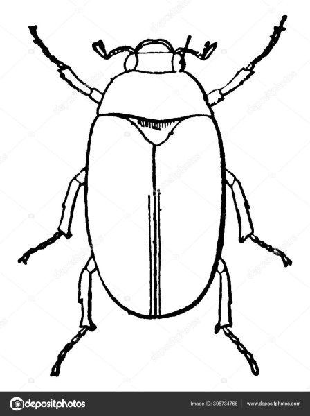 Пошагово Майский Жук