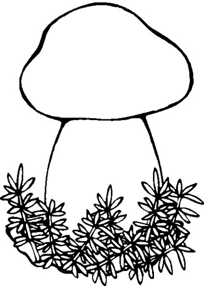 Мох раскраска для детей