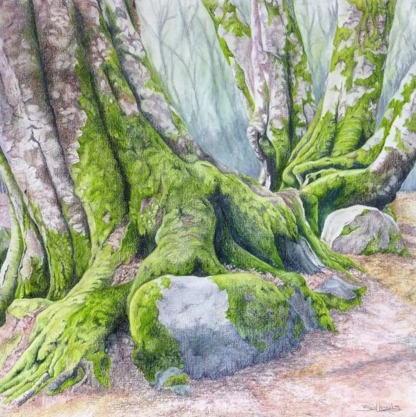 Мох акварель