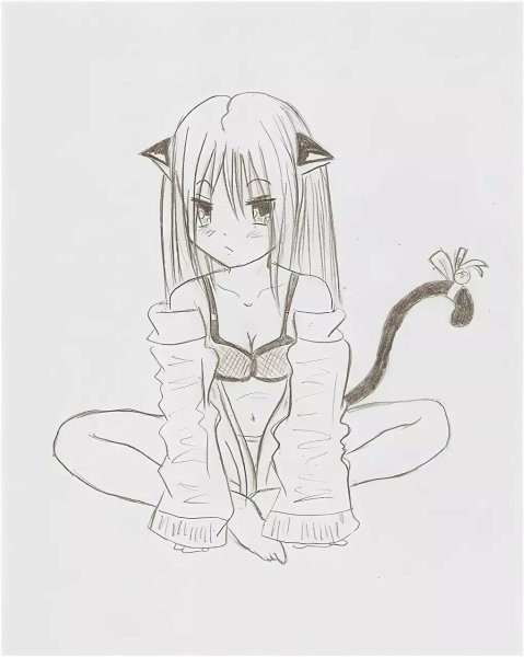 Рисунки карандашом аниме девушек кошек