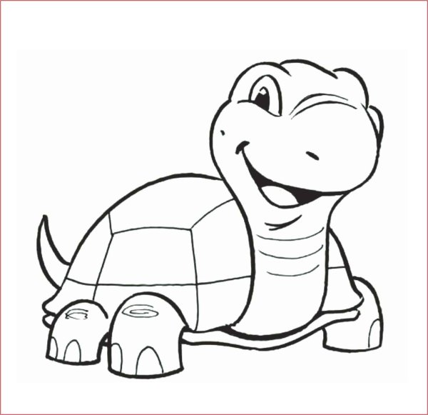 Черепашка рисунок карандашом