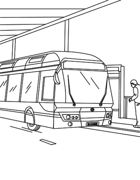 Остановка раскраска