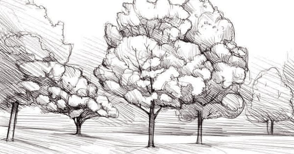 Натюрморт осенний