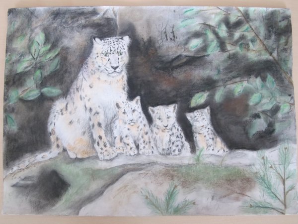 Конкурс детского художественного творчества мир заповедной природы