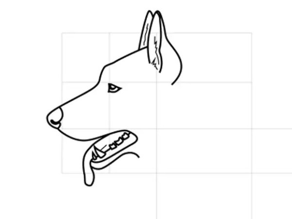 Голова собаки рисунок карандашом