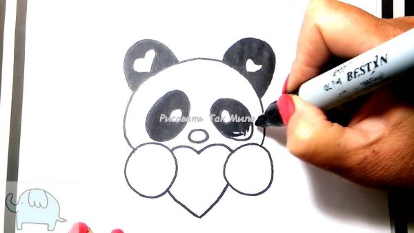 Панда рисунок карандашом