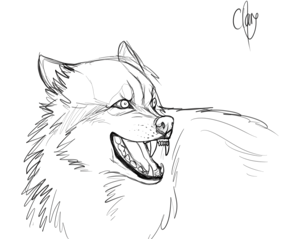 Как рисовать волка