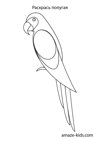 Попугай шаблон
