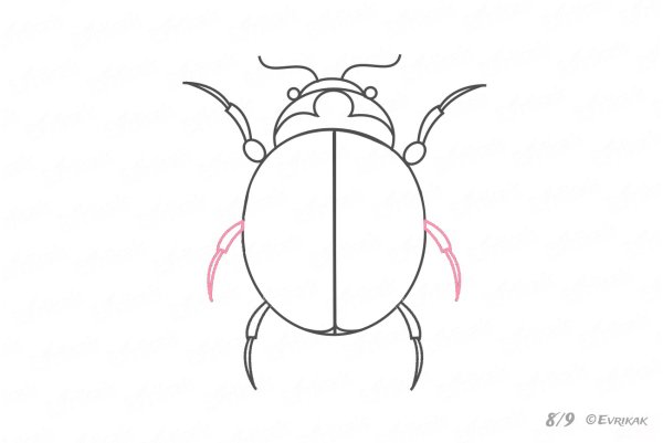 Рисунок жука для детей 1 класс