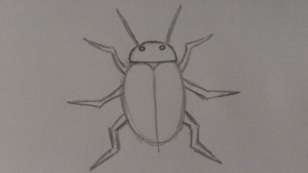 Жук короед раскраска