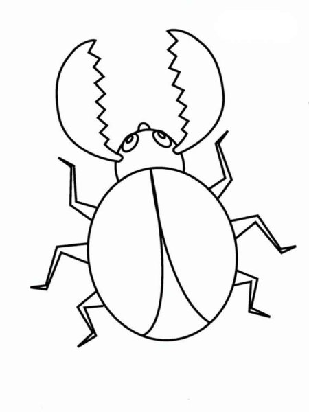 Жук навозник раскраска