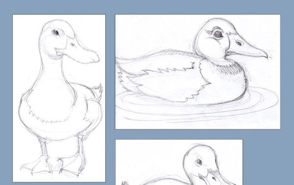 Уточка карандашом