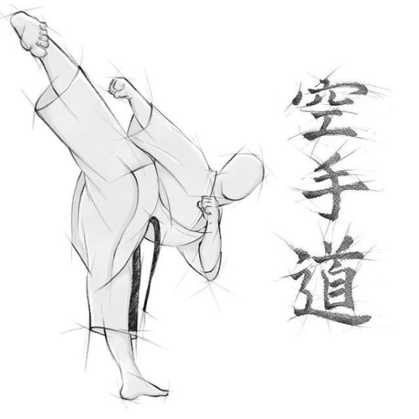 Аниме каратэ Шотокан