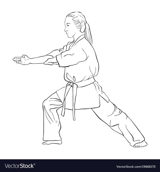 Раскраски каратэ киокушинкай