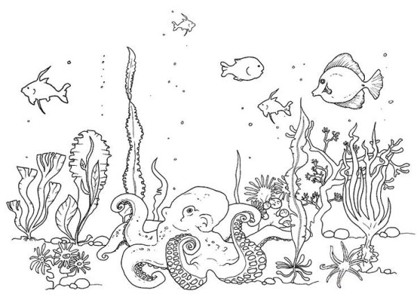 Морское дно раскраска