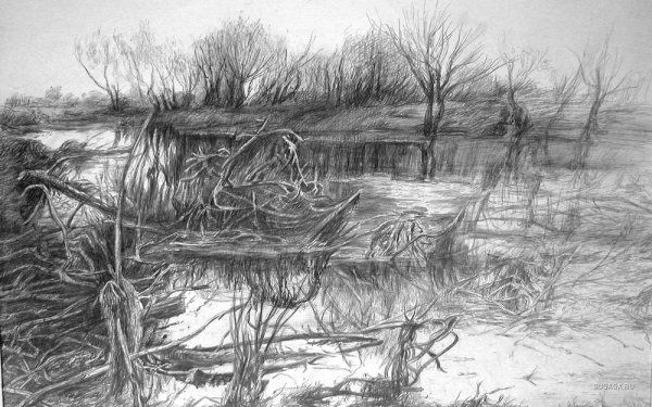 Болото карандашом
