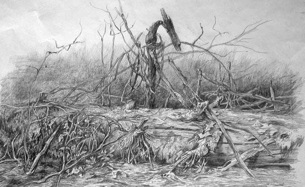 Болото карандашом