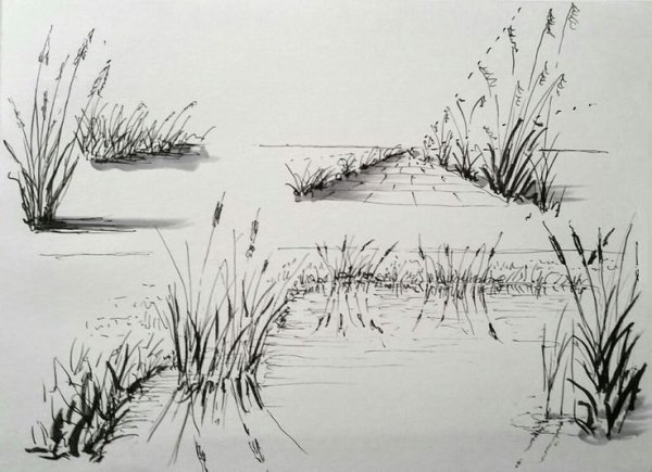 Болото в графике