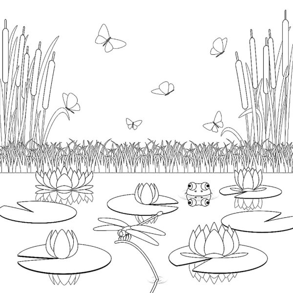 Болото раскраска для детей