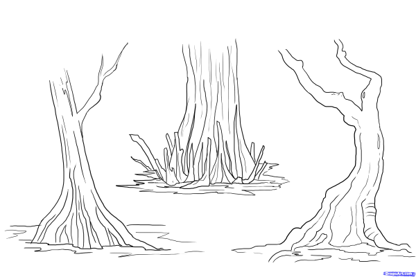 Болото рисунок карандашом