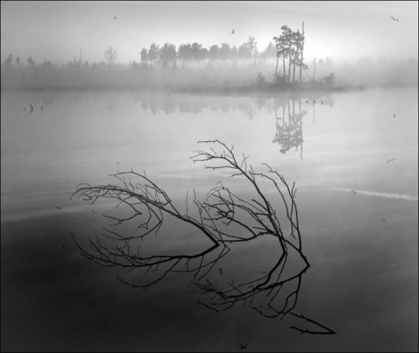 Болото карандашом