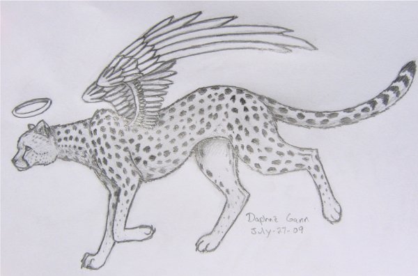 Гепард с крыльями