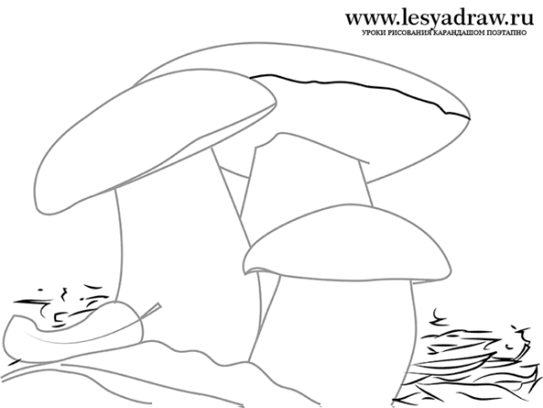 Шляпки грибочков для рисования