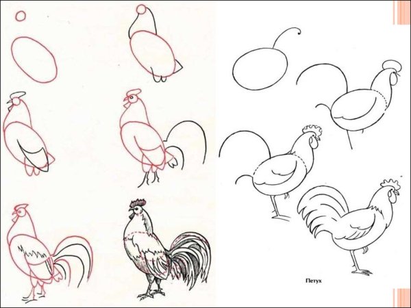 Золотой петух Куприн иллюстрация