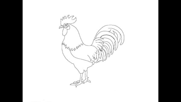 Нарисовать иллюстрацию к рассказу золотой петух Куприн