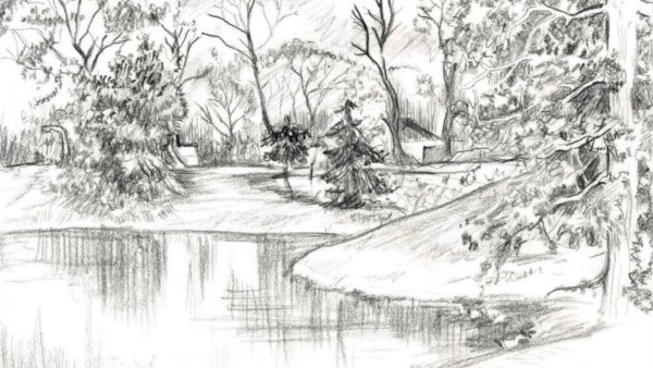 Зарисовки деревьев карандаш парк