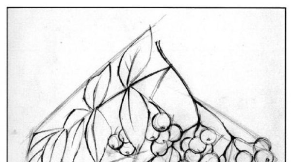 Кисть Рябинки гроздь Калинки рисование