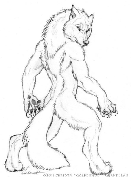 Вервольф тату эскиз