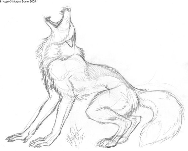 Оборотень карандашом