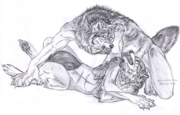 Картинки для срисовки оборотень