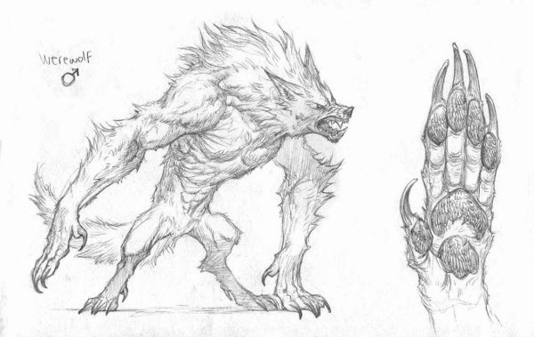 Поэтапное рисование оборотня